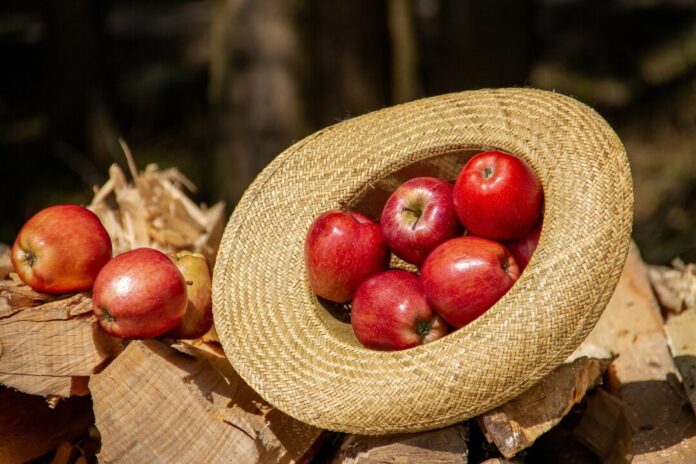 apples, fruits, food